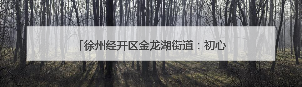 徐州经开区金龙湖街道：初心如磐永向党，砥砺奋进新征程