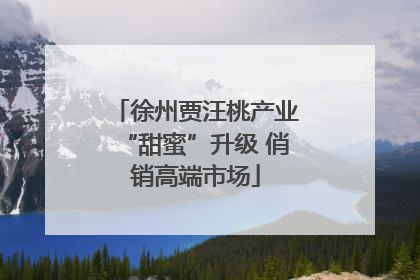 徐州贾汪桃产业“甜蜜”升级 俏销高端市场