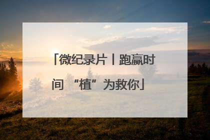 微纪录片丨跑赢时间 “植”为救你