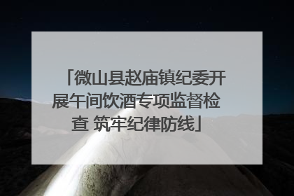 微山县赵庙镇纪委开展午间饮酒专项监督检查 筑牢纪律防线