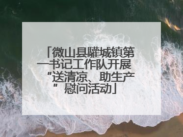 微山县驩城镇第一书记工作队开展“送清凉、助生产”慰问活动