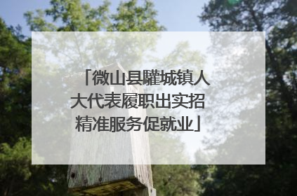 微山县驩城镇人大代表履职出实招精准服务促就业