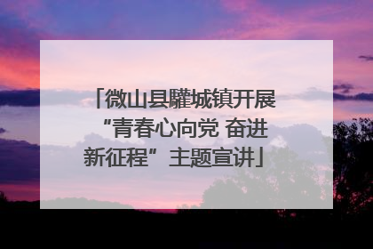 微山县驩城镇开展“青春心向党 奋进新征程”主题宣讲