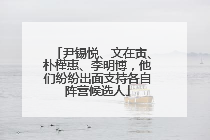 尹锡悦、文在寅、朴槿惠、李明博，他们纷纷出面支持各自阵营候选人