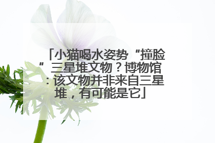 小猫喝水姿势“撞脸”三星堆文物？博物馆：该文物并非来自三星堆，有可能是它