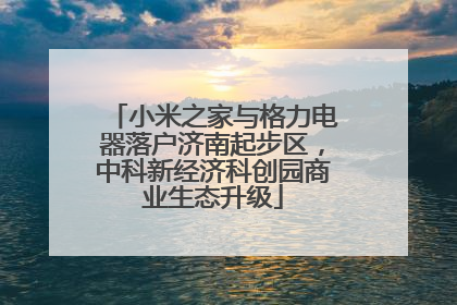 小米之家与格力电器落户济南起步区，中科新经济科创园商业生态升级