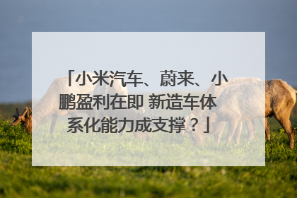 小米汽车、蔚来、小鹏盈利在即 新造车体系化能力成支撑？