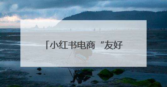 小红书电商“友好市集”上线，6月将举办“开业活动”