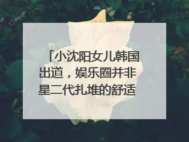 小沈阳女儿韩国出道，娱乐圈并非星二代扎堆的舒适区｜文艺评论