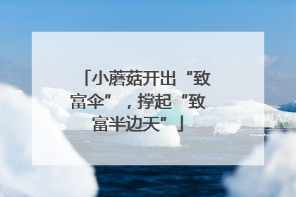 小蘑菇开出“致富伞”，撑起“致富半边天”