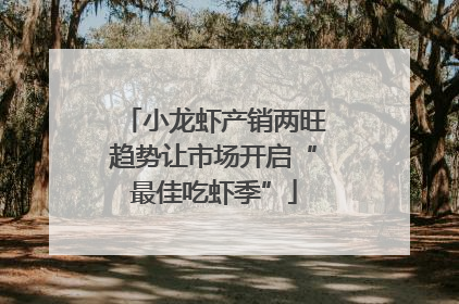 小龙虾产销两旺趋势让市场开启“最佳吃虾季”