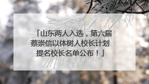 山东两人入选，第六届蔡崇信以体树人校长计划提名校长名单公布！