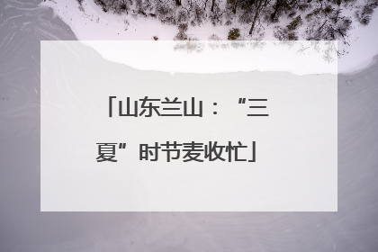 山东兰山：“三夏”时节麦收忙