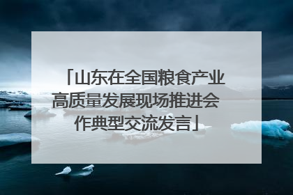 山东在全国粮食产业高质量发展现场推进会作典型交流发言