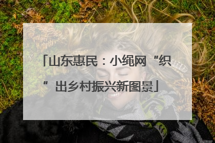 山东惠民：小绳网“织”出乡村振兴新图景