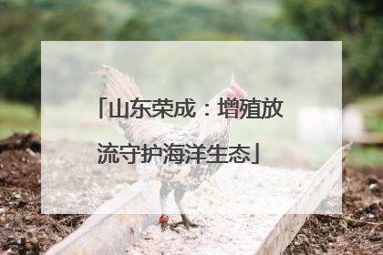 山东荣成：增殖放流守护海洋生态
