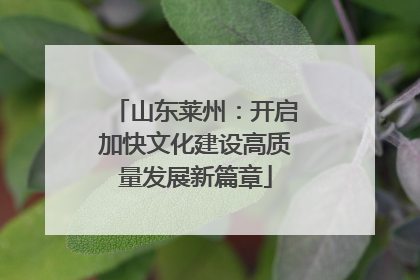 山东莱州：开启加快文化建设高质量发展新篇章