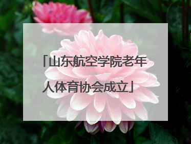 山东航空学院老年人体育协会成立