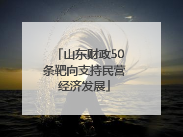 山东财政50条靶向支持民营经济发展