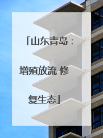 山东青岛：增殖放流 修复生态