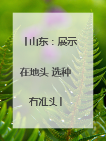 山东：展示在地头 选种有准头