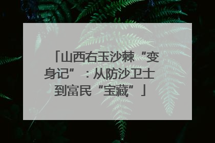 山西右玉沙棘“变身记”：从防沙卫士到富民“宝藏”