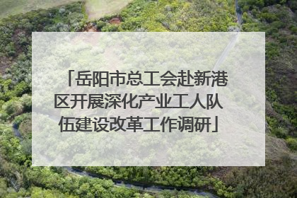 岳阳市总工会赴新港区开展深化产业工人队伍建设改革工作调研