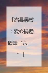 嵩县吴村：爱心捐赠情暖“六一”