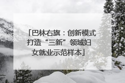 巴林右旗：创新模式 打造“三新”领域妇女就业示范样本