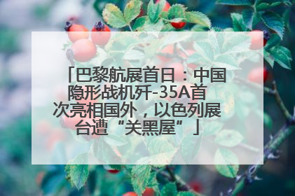 巴黎航展首日：中国隐形战机歼-35A首次亮相国外，以色列展台遭“关黑屋”