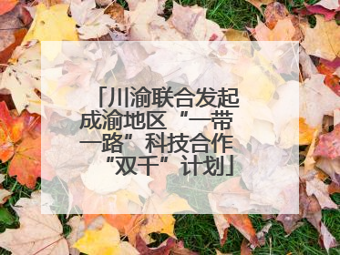 川渝联合发起成渝地区“一带一路”科技合作“双千”计划