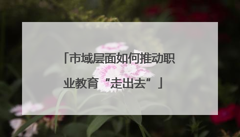 市域层面如何推动职业教育“走出去”