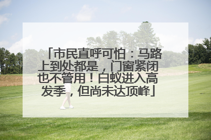 市民直呼可怕：马路上到处都是，门窗紧闭也不管用！白蚁进入高发季，但尚未达顶峰