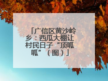 广信区黄沙岭乡：西瓜大棚让村民日子“顶呱呱”（图）