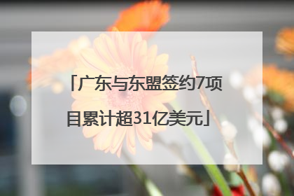 广东与东盟签约7项目累计超31亿美元
