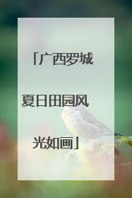 广西罗城夏日田园风光如画