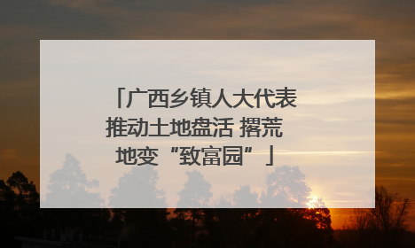 广西乡镇人大代表推动土地盘活 撂荒地变“致富园”