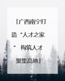广西南宁打造“人才之家” 构筑人才聚集高地