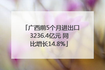 广西前5个月进出口3236.4亿元 同比增长14.8%