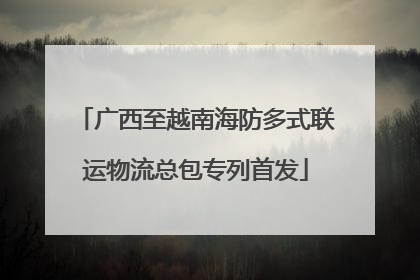 广西至越南海防多式联运物流总包专列首发