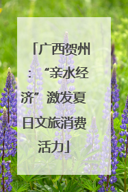 广西贺州：“亲水经济”激发夏日文旅消费活力