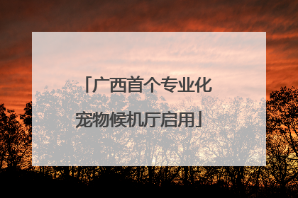 广西首个专业化宠物候机厅启用