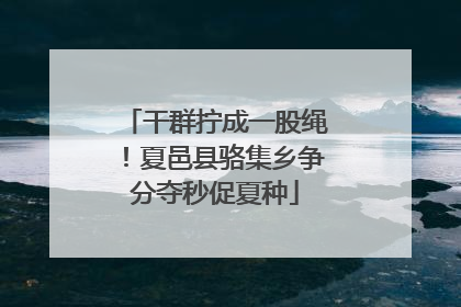 干群拧成一股绳！夏邑县骆集乡争分夺秒促夏种