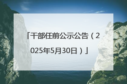 干部任前公示公告（2025年5月30日）