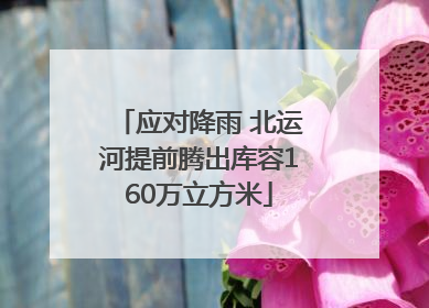 应对降雨 北运河提前腾出库容160万立方米
