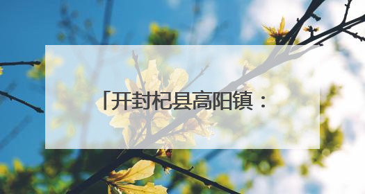 开封杞县高阳镇：开展极端天气户外设施风险隐患大排查