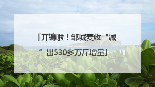 开镰啦！邹城麦收“减”出530多万斤增量