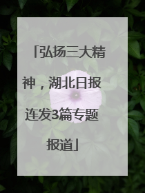 弘扬三大精神，湖北日报连发3篇专题报道