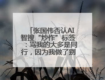 张国伟否认AI智搜“炒作”标签：骂我的大多是同行，因为我做了别人做不了的事