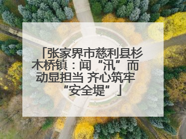 张家界市慈利县杉木桥镇：闻“汛”而动显担当 齐心筑牢“安全堤”